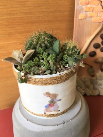 迷你彼得